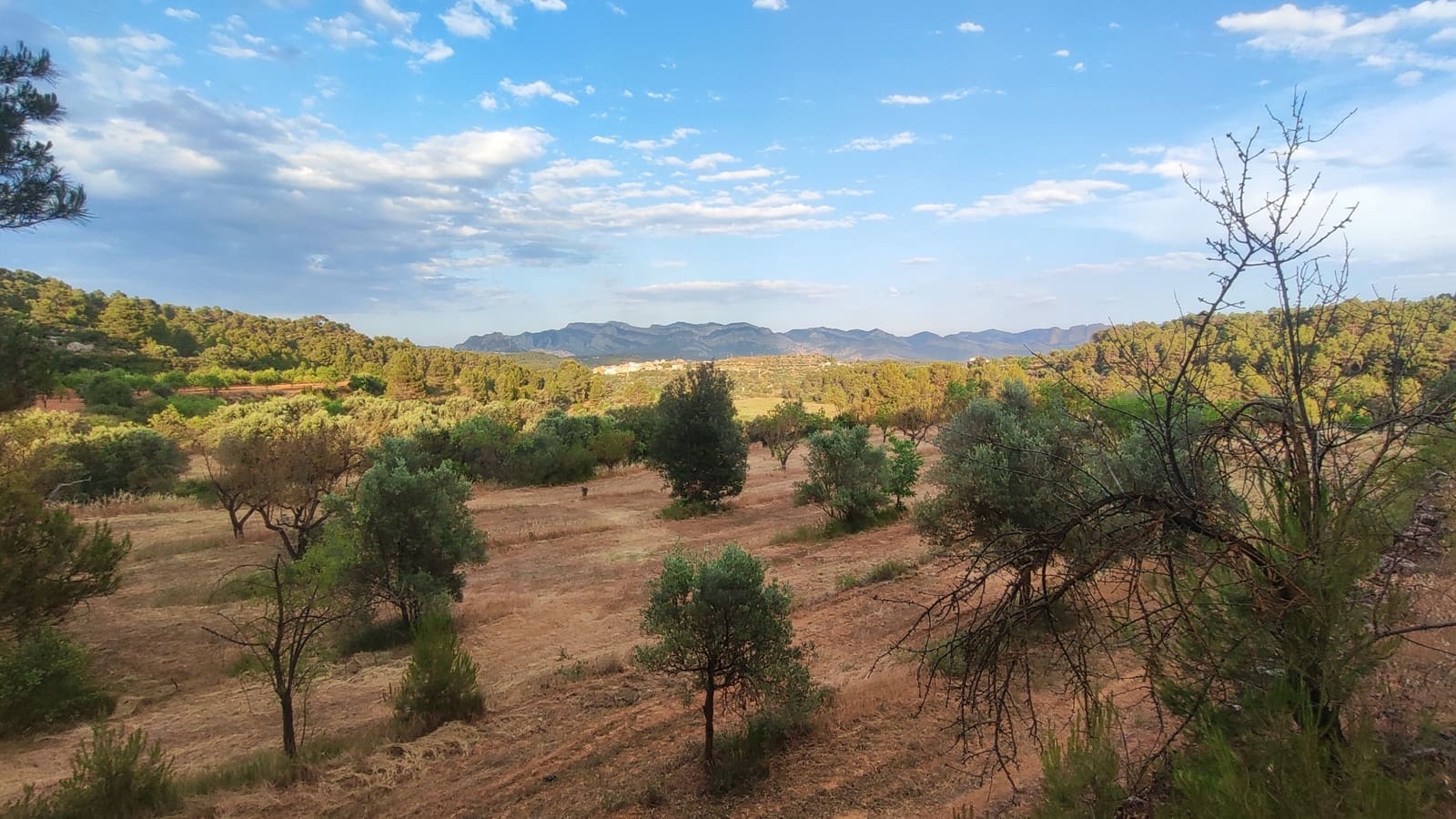 Grond te koop in Lledo - € 65.000 (Ref: 9997146)