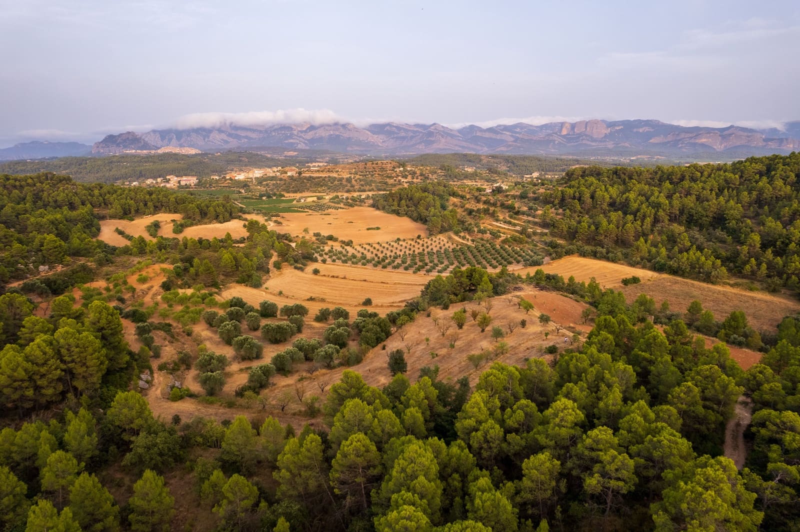 Grond te koop in Lledo - € 65.000 (Ref: 9997146)
