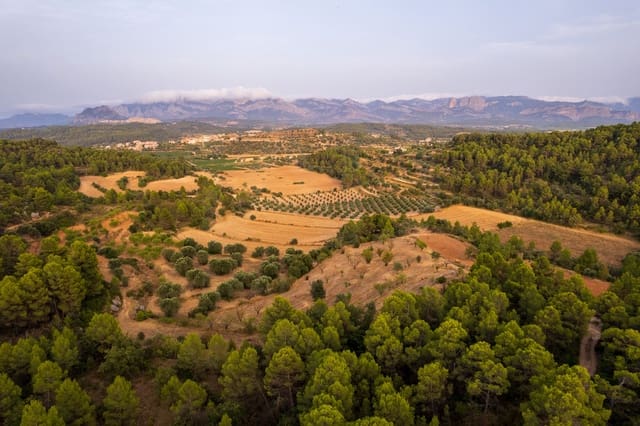 Grond te koop in Lledó - € 65.000 (Ref: 9997146)