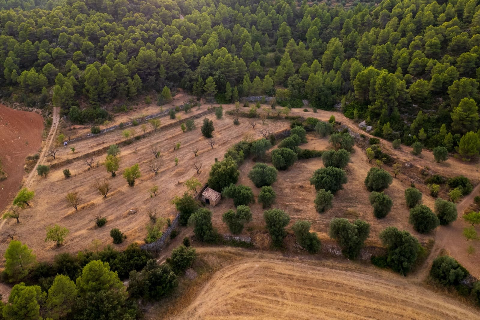 Grond te koop in Lledo - € 65.000 (Ref: 9997146)