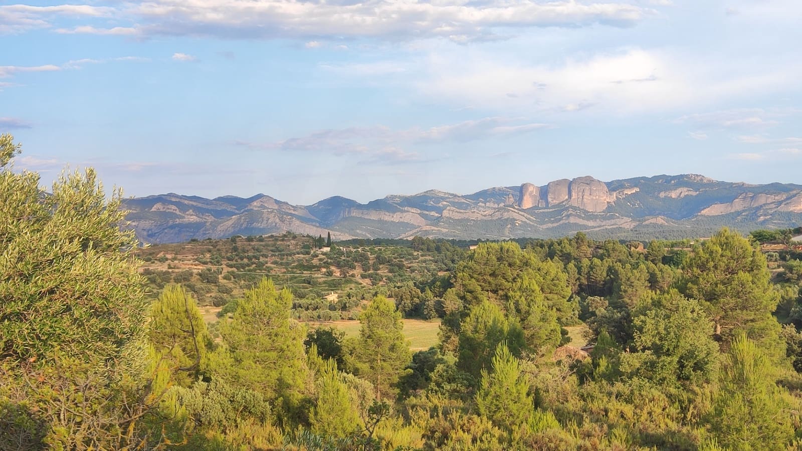 Grond te koop in Lledo - € 65.000 (Ref: 9997146)