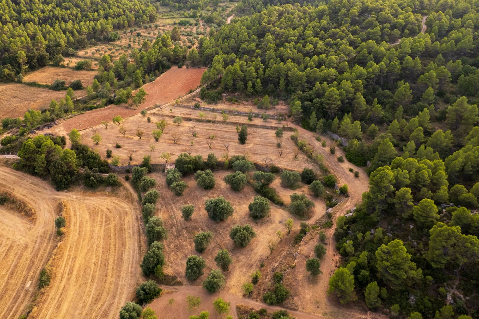 Grond te koop in Lledo - € 65.000 (Ref: 9997146)