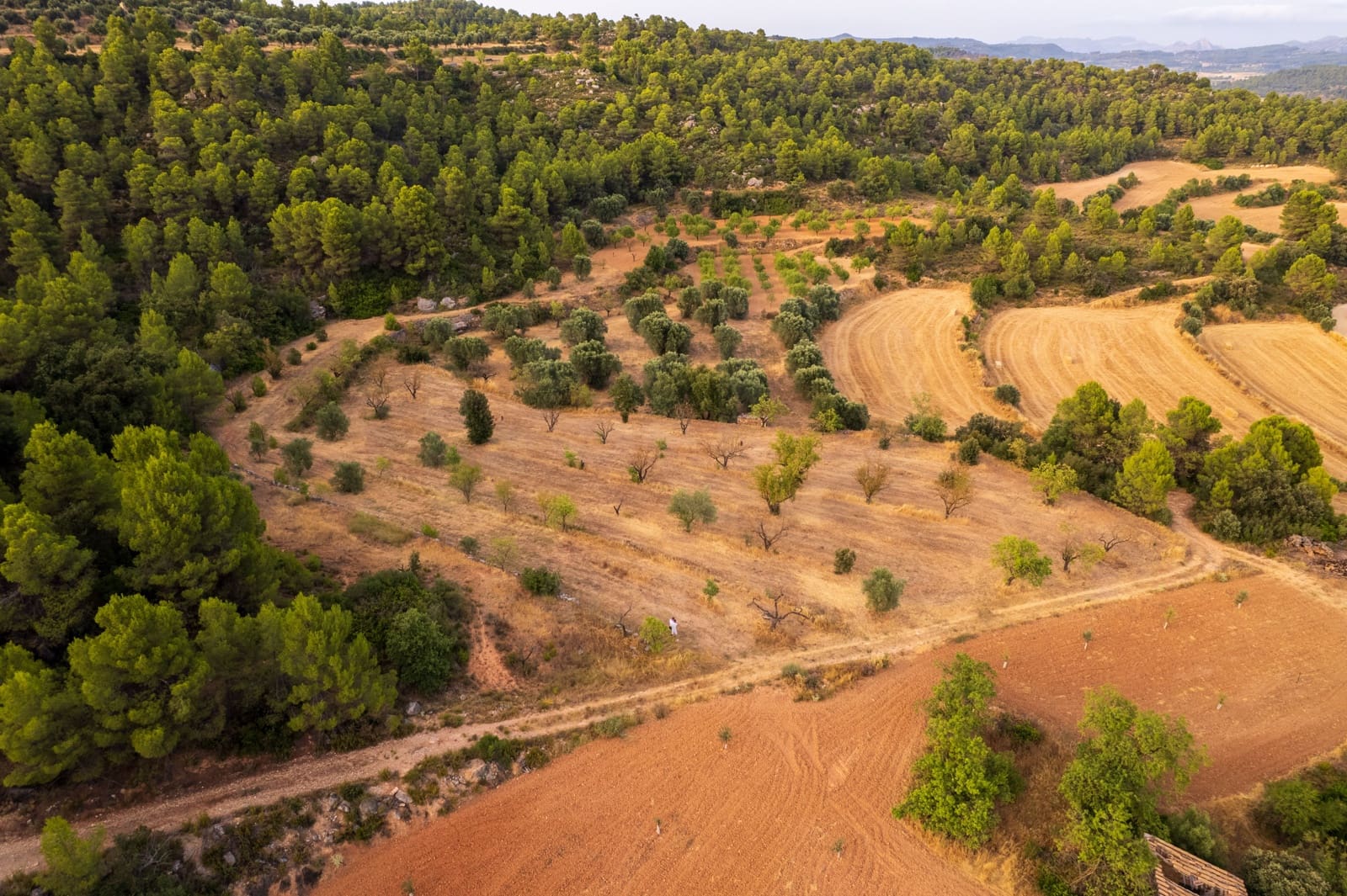 Grond te koop in Lledo - € 65.000 (Ref: 9997146)