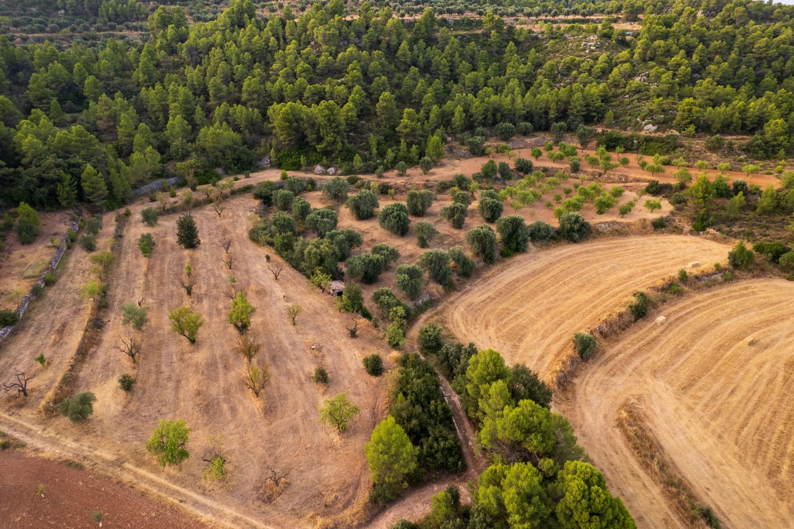 Grond te koop in Lledo - € 65.000 (Ref: 9997146)