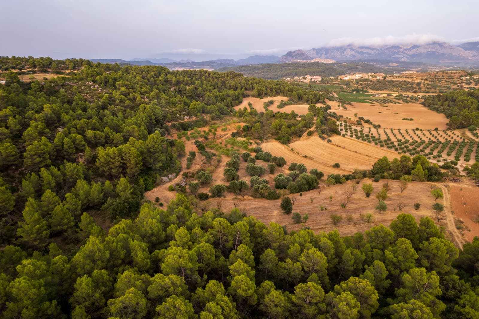 Grond te koop in Lledo - € 65.000 (Ref: 9997146)