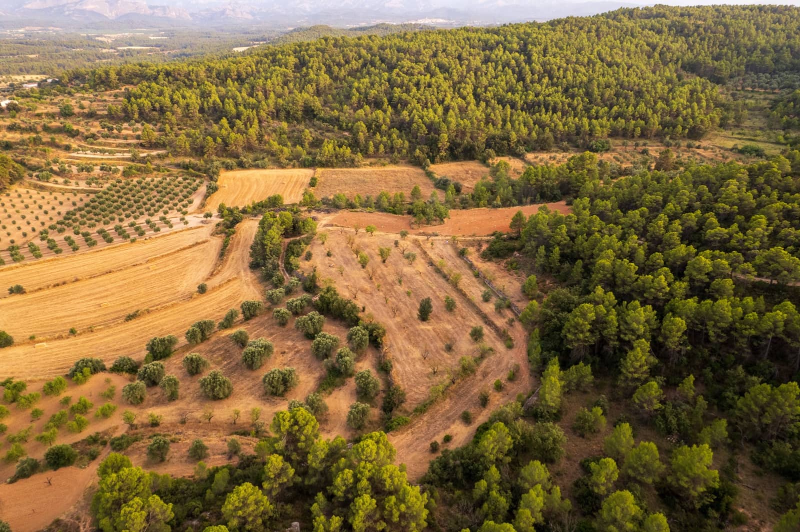 Grond te koop in Lledo - € 65.000 (Ref: 9997146)