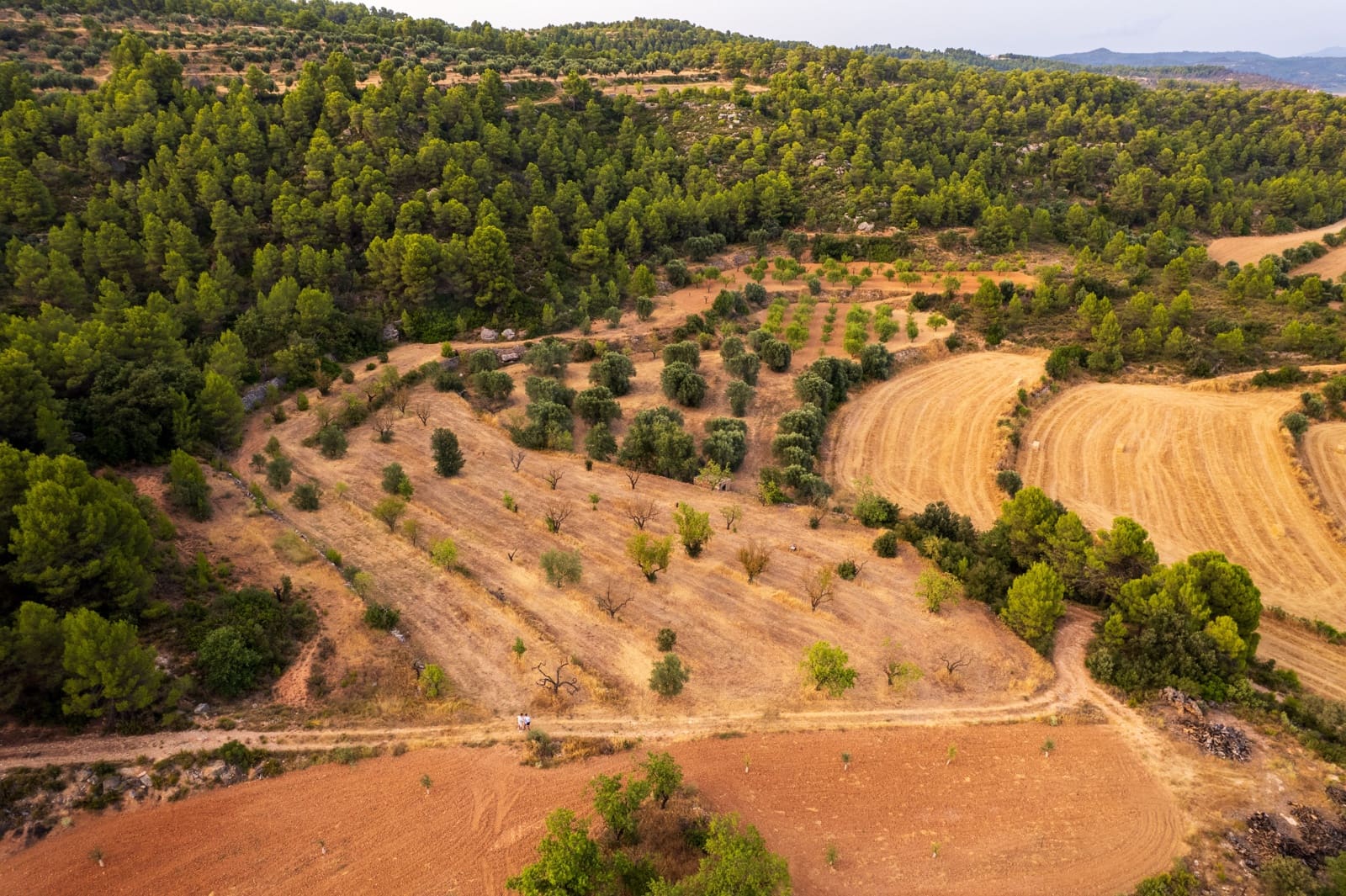 Grond te koop in Lledo - € 65.000 (Ref: 9997146)