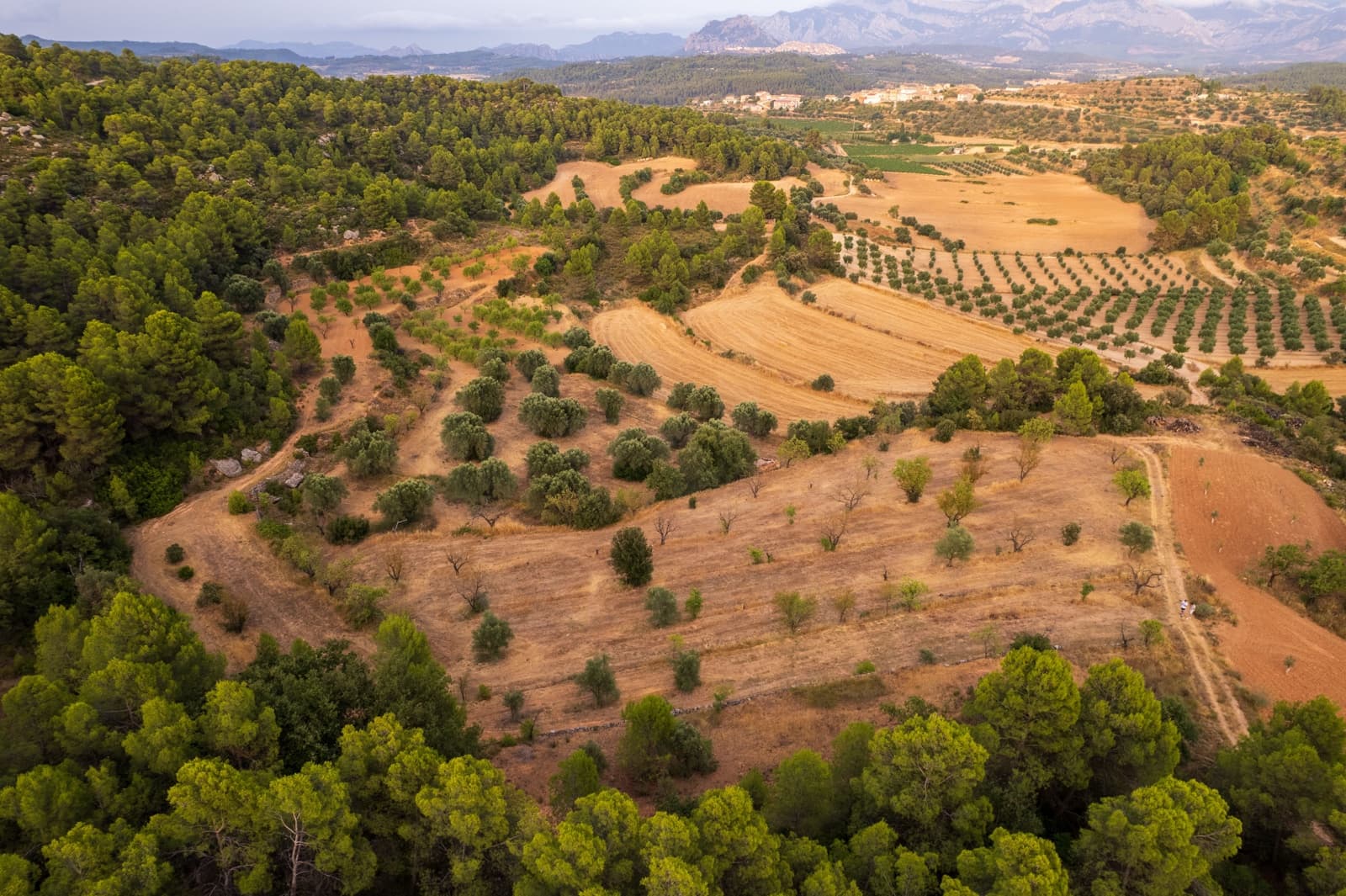 Grond te koop in Lledo - € 65.000 (Ref: 9997146)
