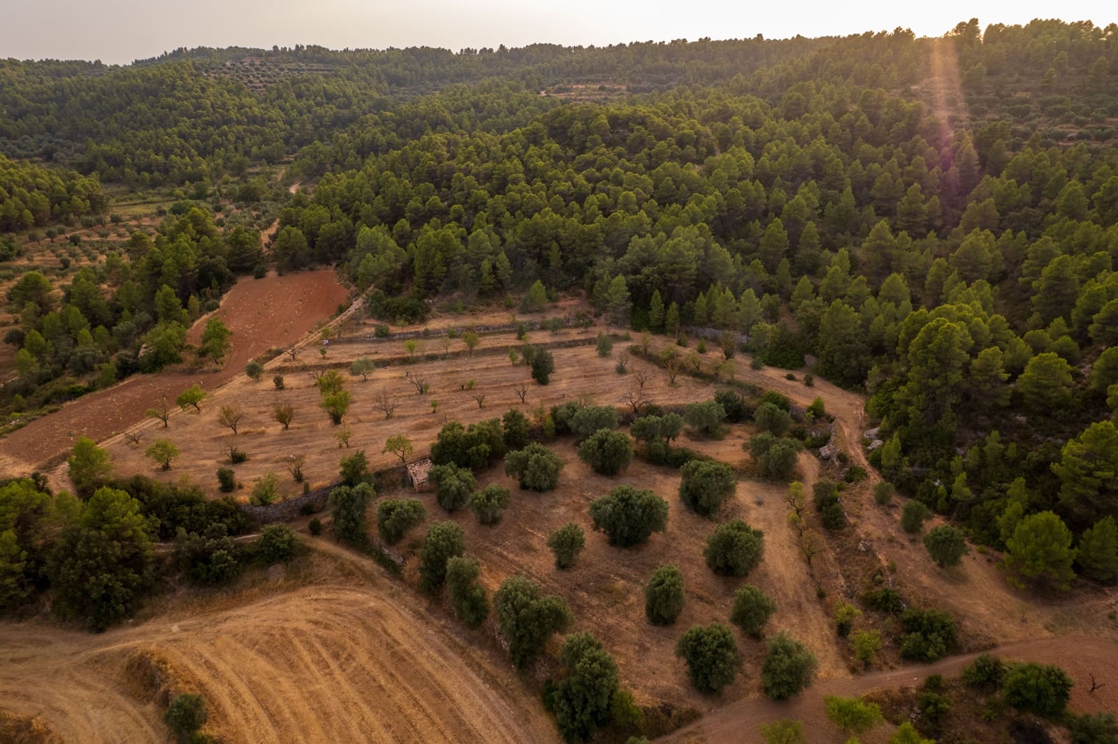 Grond te koop in Lledo - € 65.000 (Ref: 9997146)