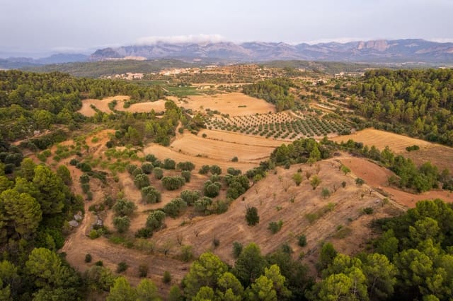 Grond te koop in Lledó - € 65.000 (Ref: 9997146)