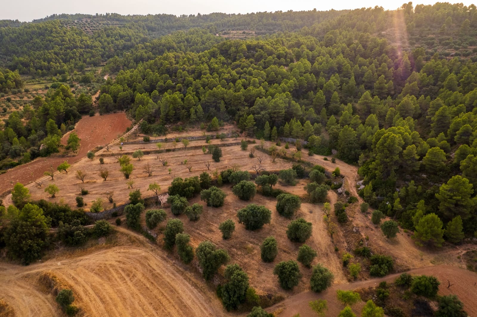 Grond te koop in Lledo - € 65.000 (Ref: 9997146)