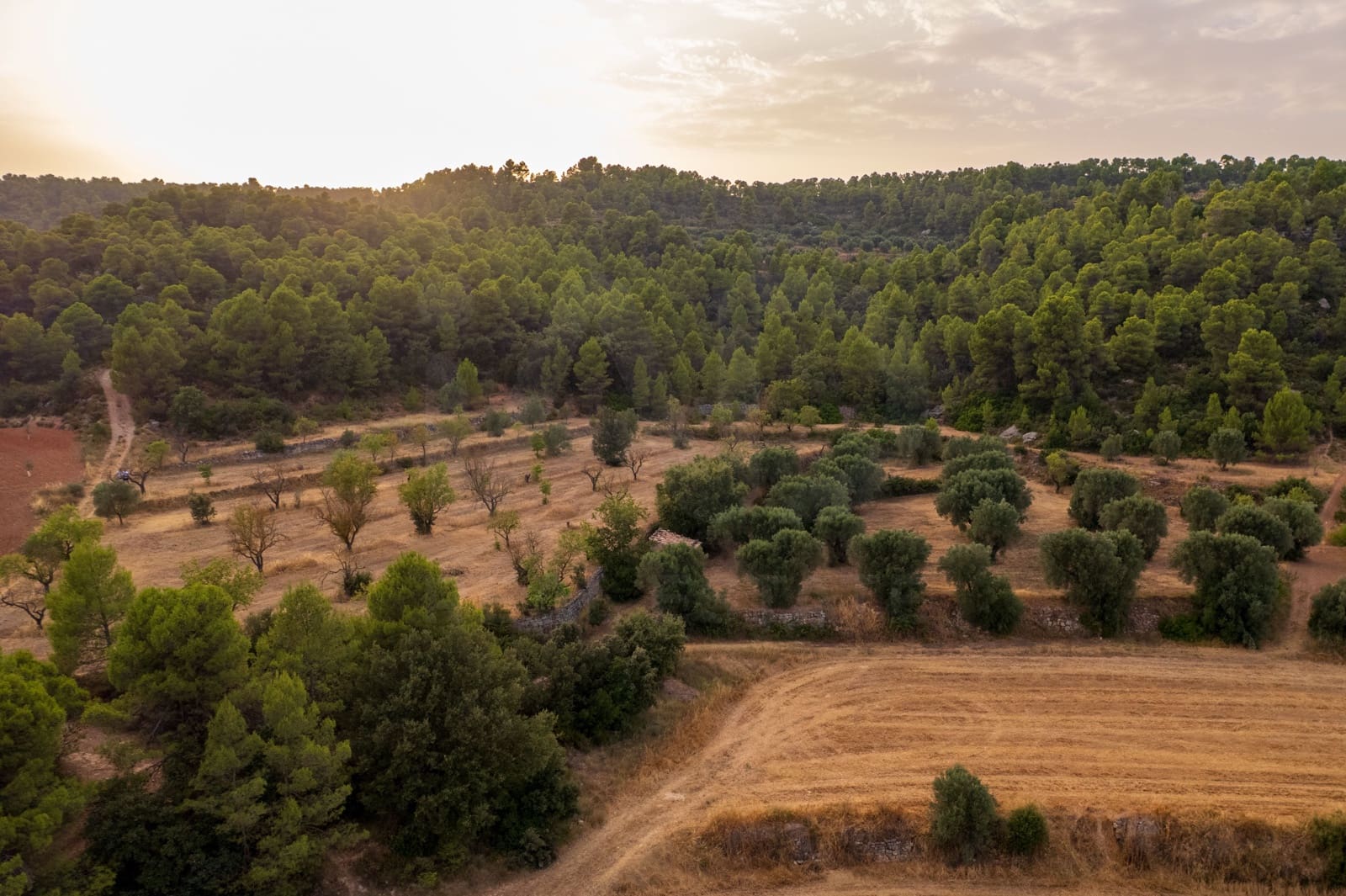 Grond te koop in Lledo - € 65.000 (Ref: 9997146)