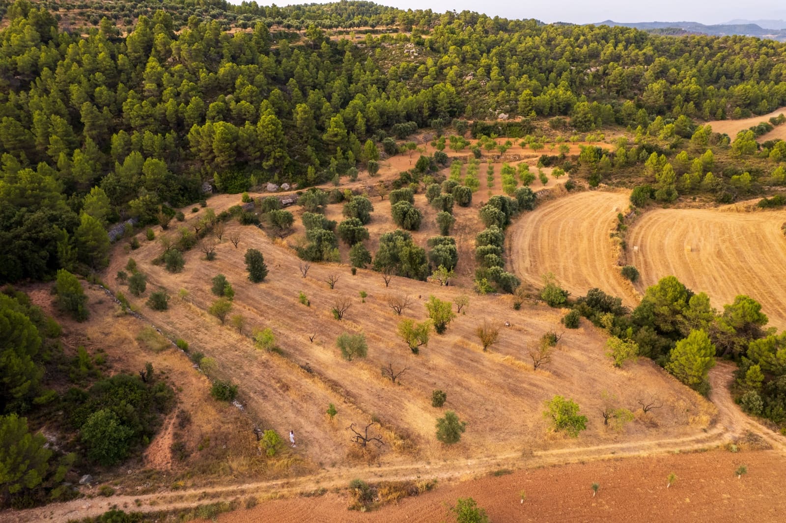 Grond te koop in Lledo - € 65.000 (Ref: 9997146)
