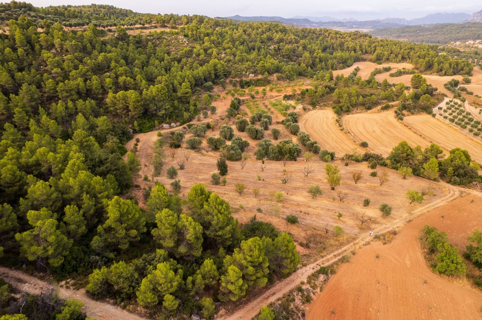 Grond te koop in Lledo - € 65.000 (Ref: 9997146)