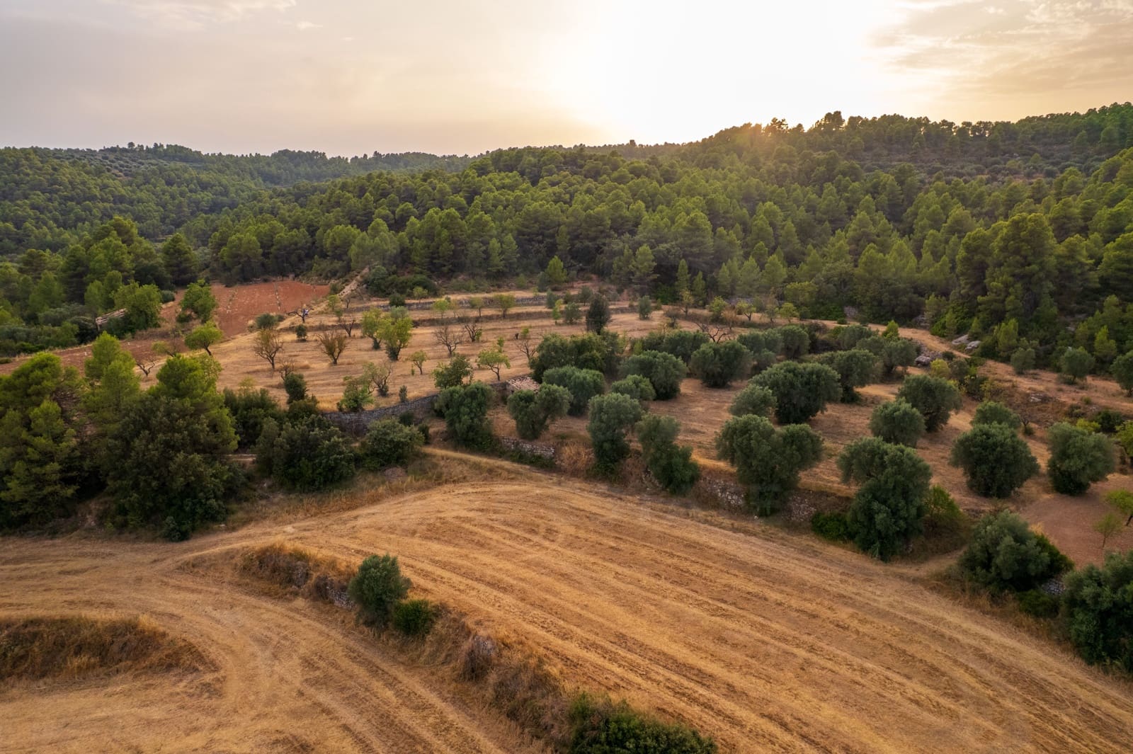 Grond te koop in Lledo - € 65.000 (Ref: 9997146)
