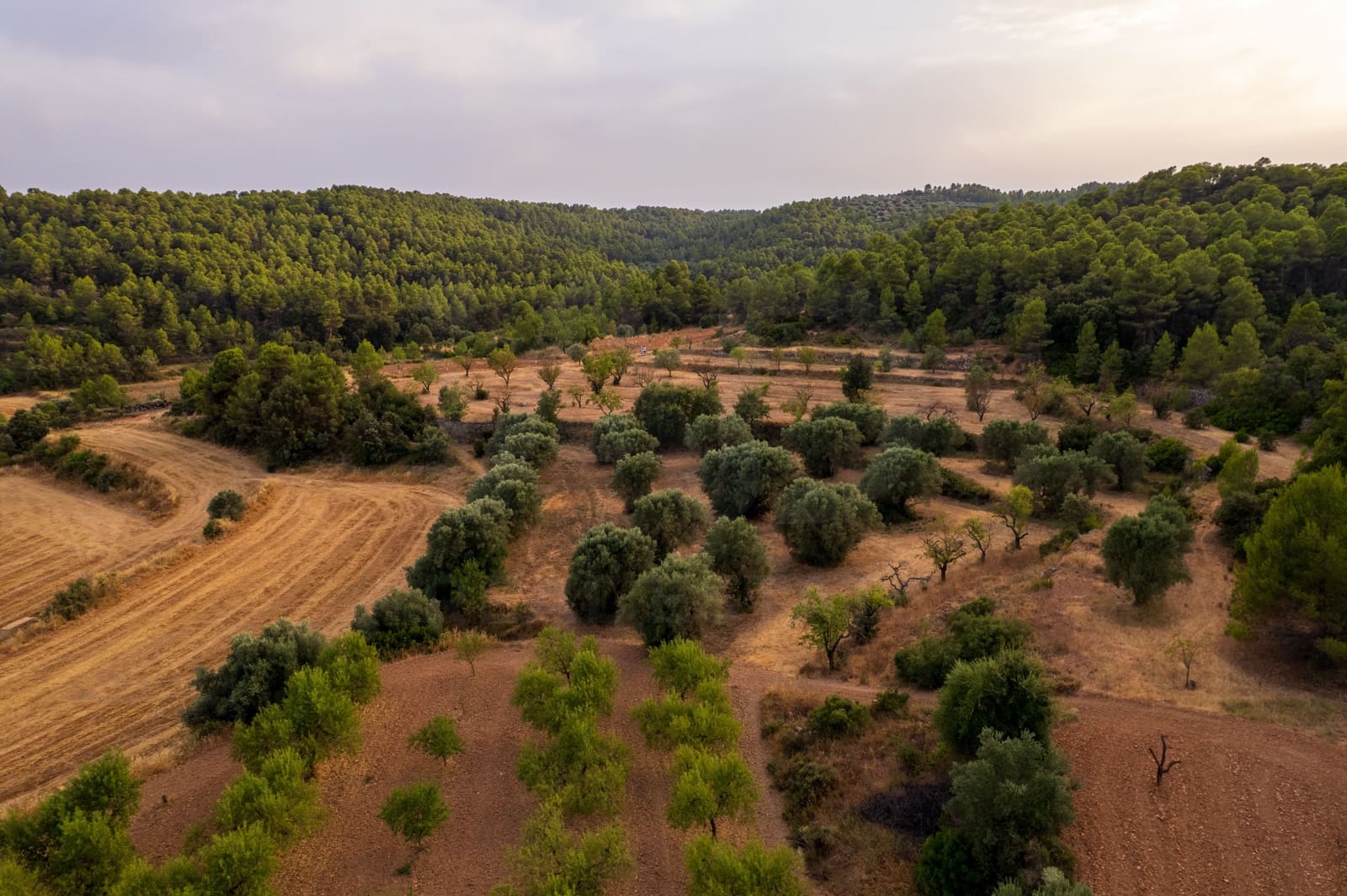 Grond te koop in Lledo - € 65.000 (Ref: 9997146)
