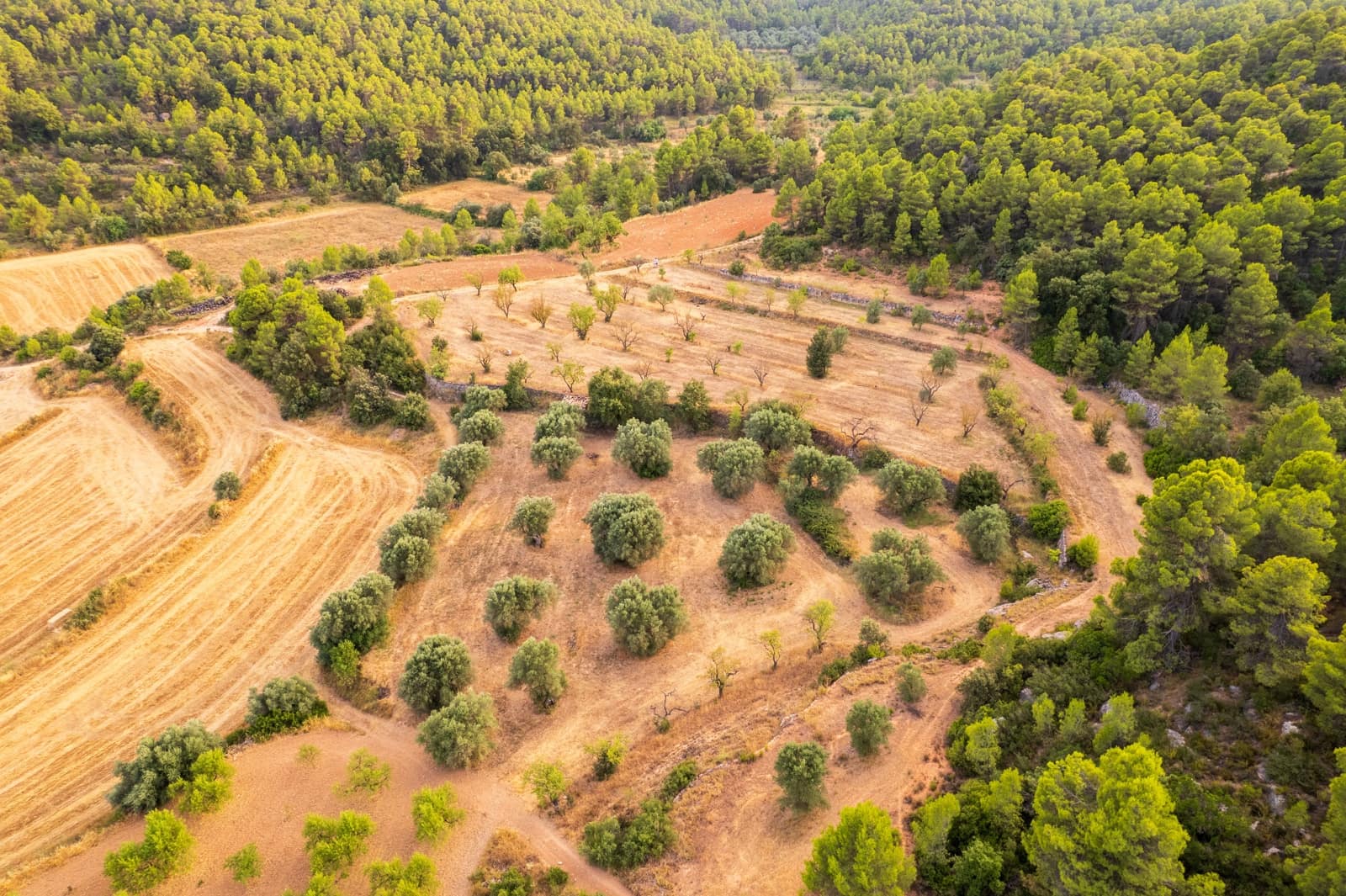 Grond te koop in Lledo - € 65.000 (Ref: 9997146)