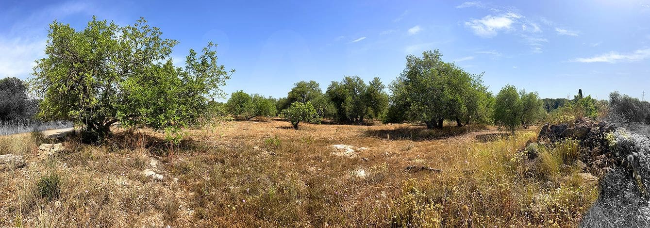Grunde uden byggetilladelser til salg i Alcover - € 28.000 (Ref: 9997997)