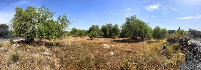 Grunde uden byggetilladelser til salg i Alcover - € 28.000 (Ref: 9997997)