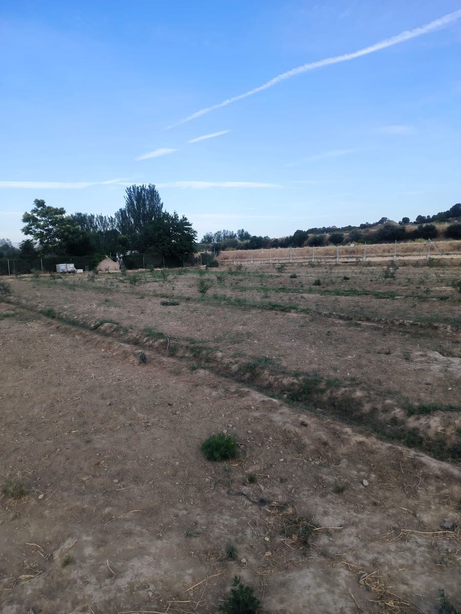 Terre non Aménagée à vendre à Cortes y Graena - 40 000 € (Ref: 9998842)