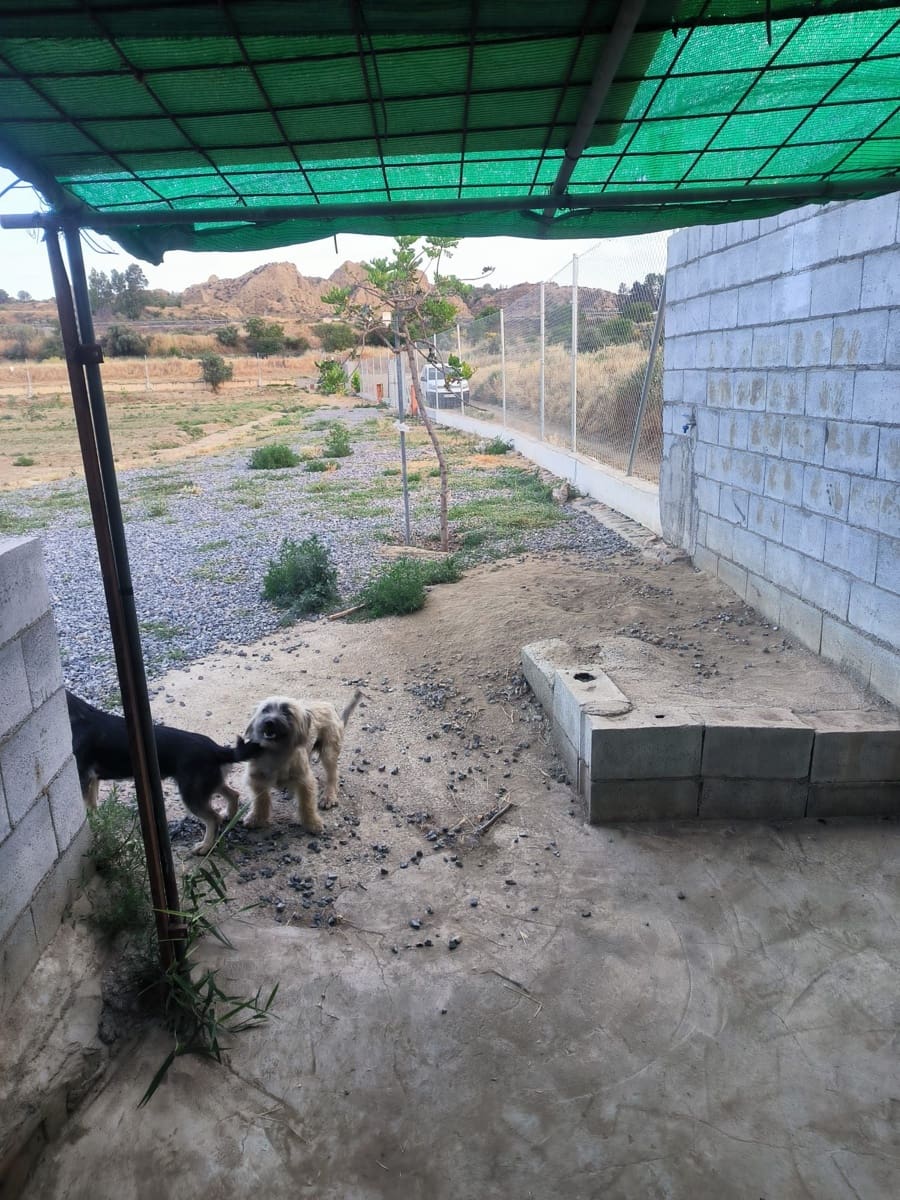Terre non Aménagée à vendre à Cortes y Graena - 40 000 € (Ref: 9998842)
