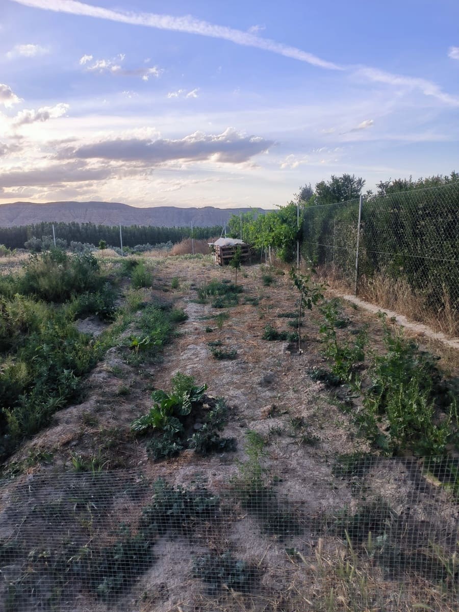 Terre non Aménagée à vendre à Cortes y Graena - 40 000 € (Ref: 9998842)