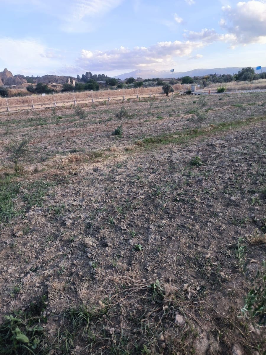 Terre non Aménagée à vendre à Cortes y Graena - 40 000 € (Ref: 9998842)
