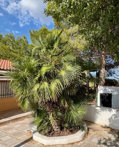 2 bedroom Finca/Country House for sale in Aledo with pool garage - € 269,000 (Ref: 10014624)
