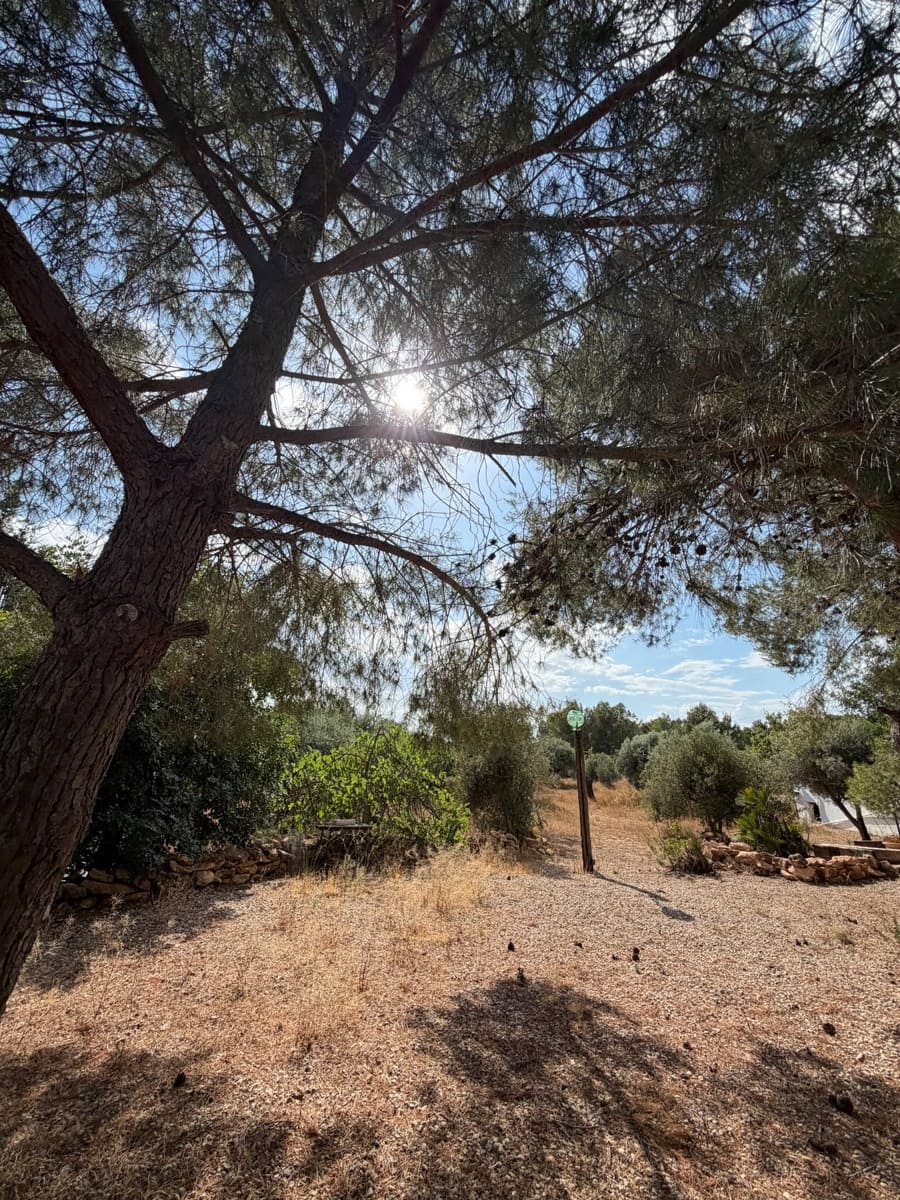 2 bedroom Finca/Country House for sale in Aledo with pool garage - € 269,000 (Ref: 10014624)