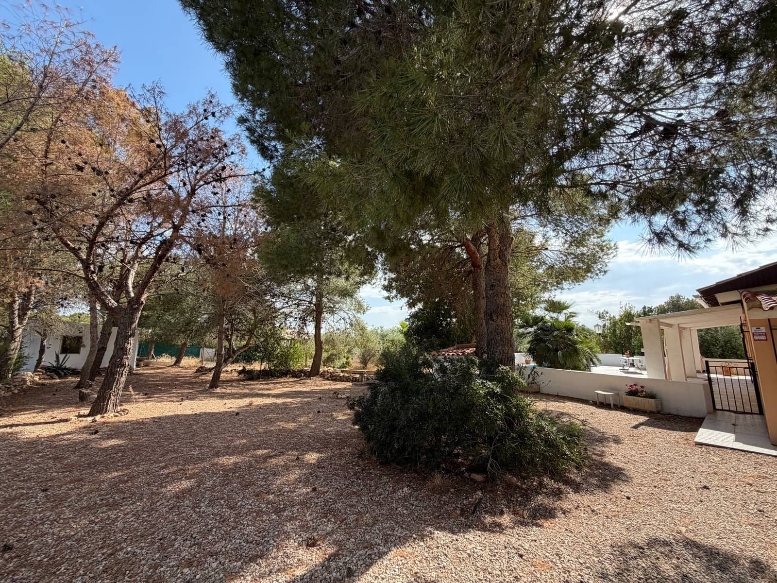 2 bedroom Finca/Country House for sale in Aledo with pool garage - € 269,000 (Ref: 10014624)