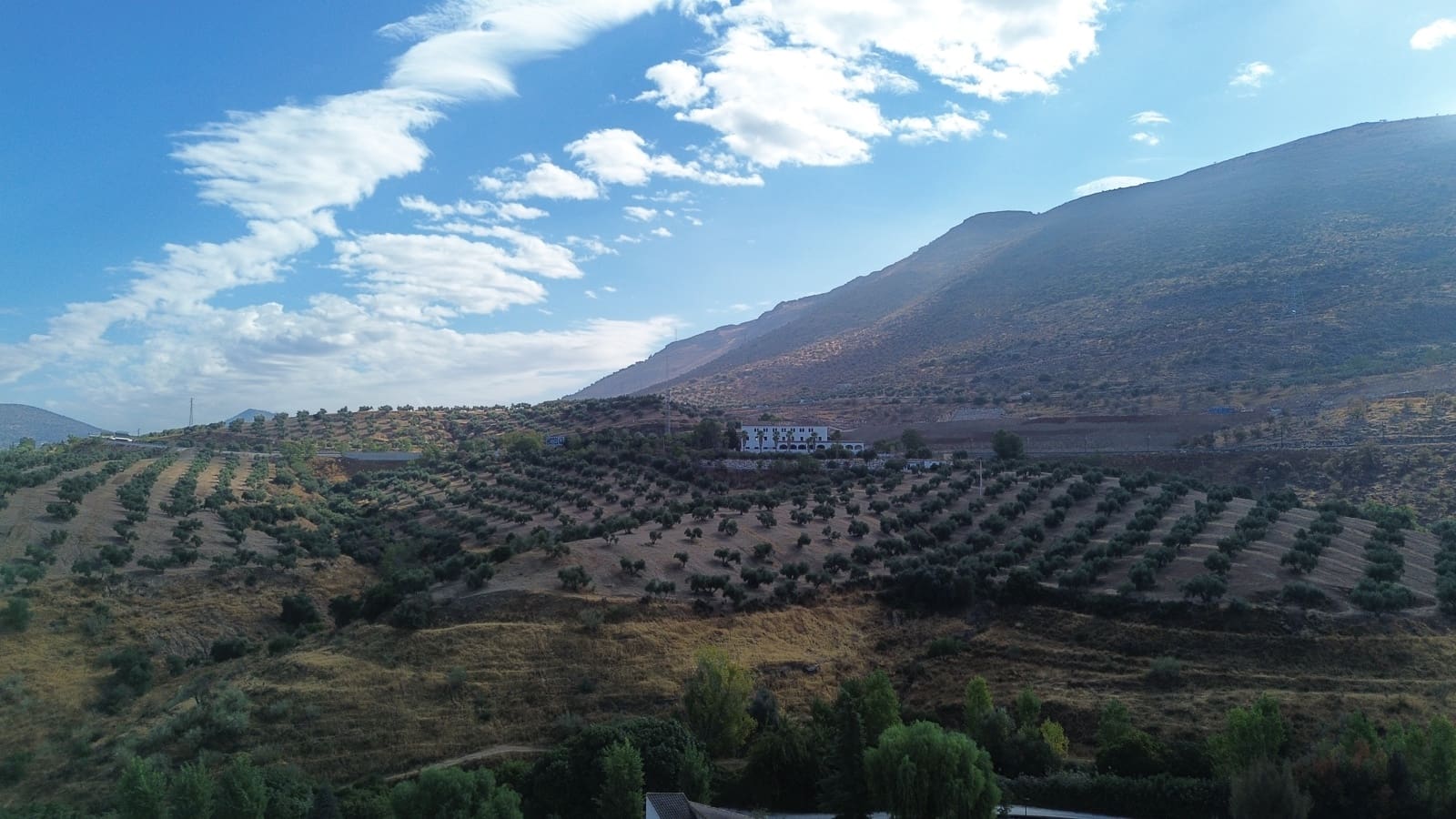6 bedroom Villa for sale in Loja with garage - € 320,000 (Ref: 10118010)