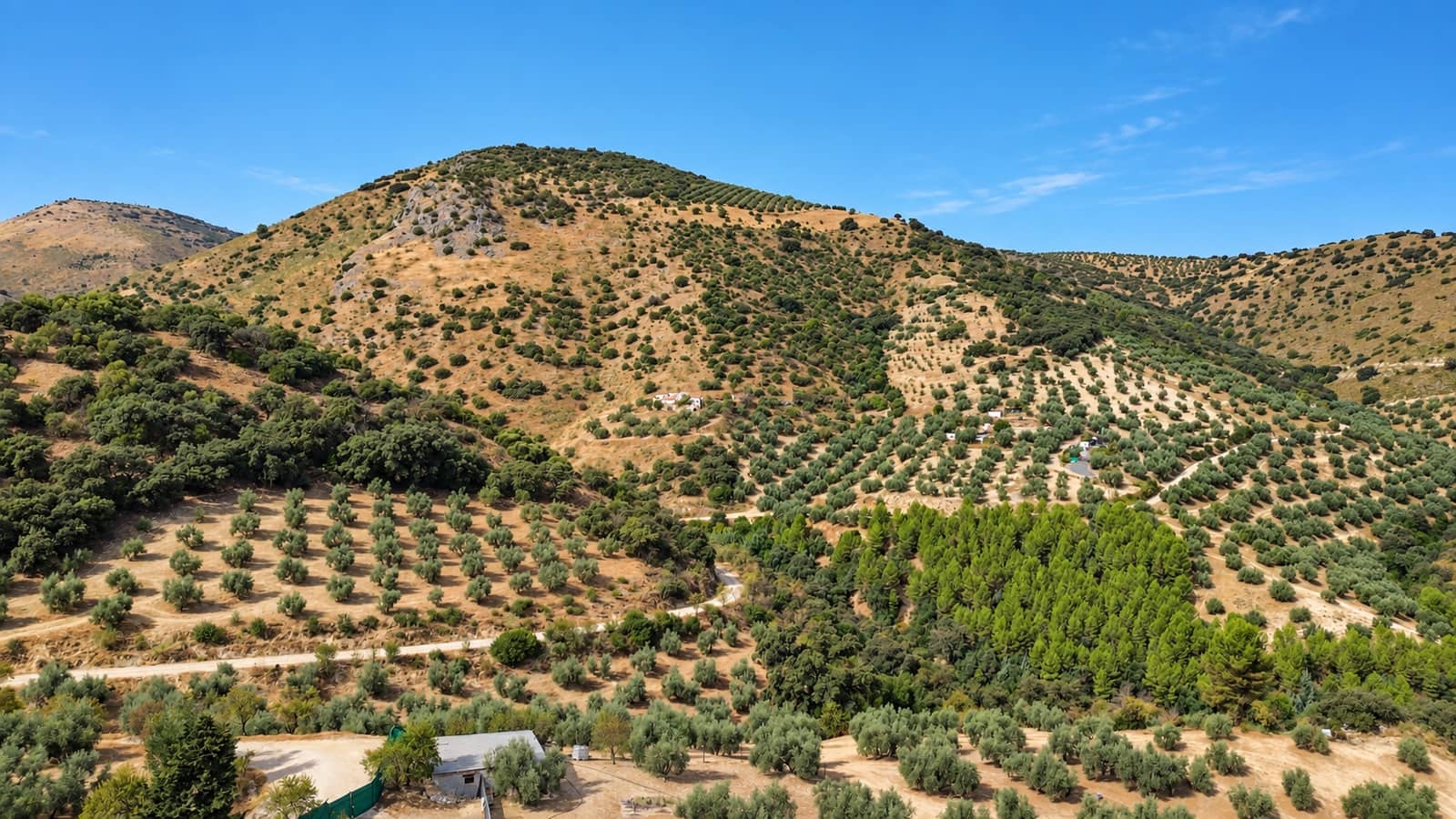 6 chambre Finca/Maison de Campagne à vendre à Iznajar avec piscine garage - 350 000 € (Ref: 10121022)