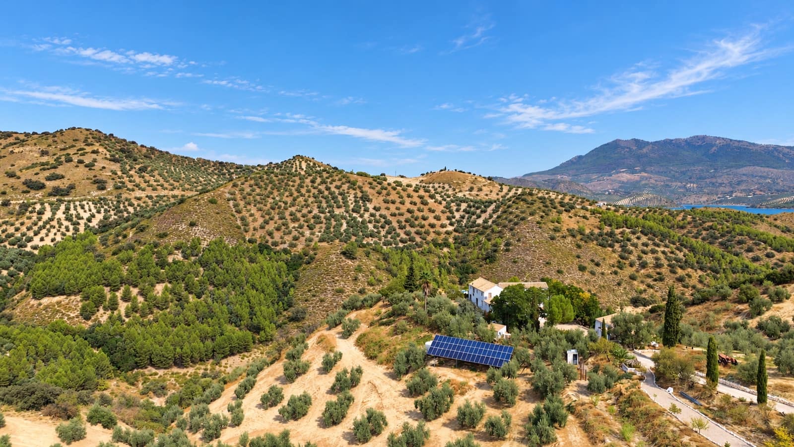 6 chambre Finca/Maison de Campagne à vendre à Iznajar avec piscine garage - 350 000 € (Ref: 10121022)