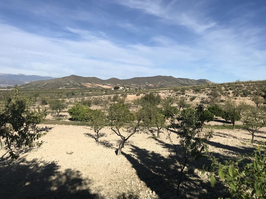 4 sypialnia Dom szeregowy na sprzedaż w Lorca - 374 995 € (Ref: 9883491)