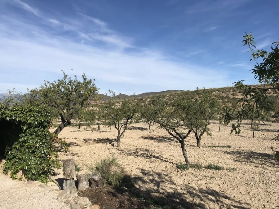 4 sypialnia Dom szeregowy na sprzedaż w Lorca - 374 995 € (Ref: 9883491)