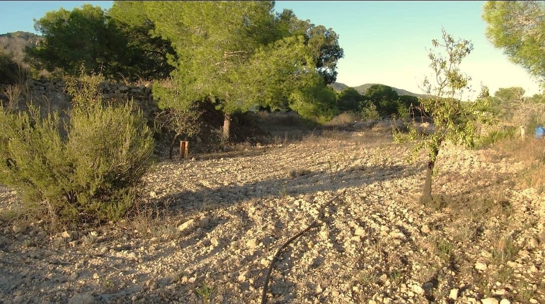 Finca/Casa Rural de 1 habitación en Gea y Truyols en venta con garaje - 229.000 € (Ref: 10130427)