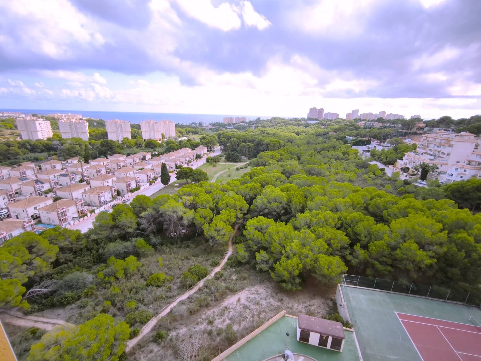 1 soverom Leilighet til leie i Dehesa de Campoamor med svømmebasseng - € 850 (Ref: 10184979)