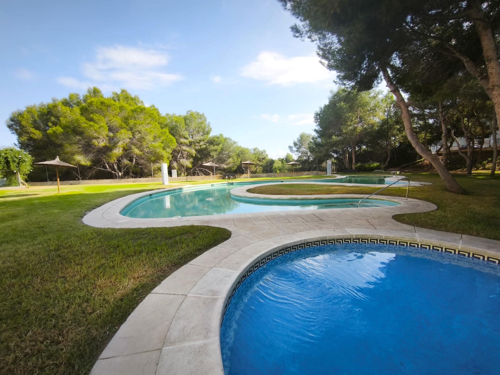 1 soverom Leilighet til leie i Dehesa de Campoamor med svømmebasseng - € 850 (Ref: 10184979)