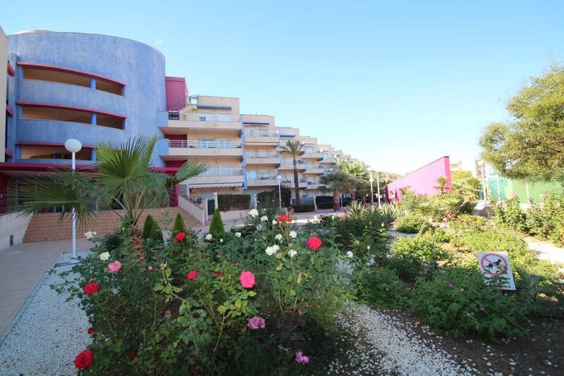 2 soverom Leilighet til leie i Dehesa de Campoamor med svømmebasseng garasje - € 945 (Ref: 9875648)