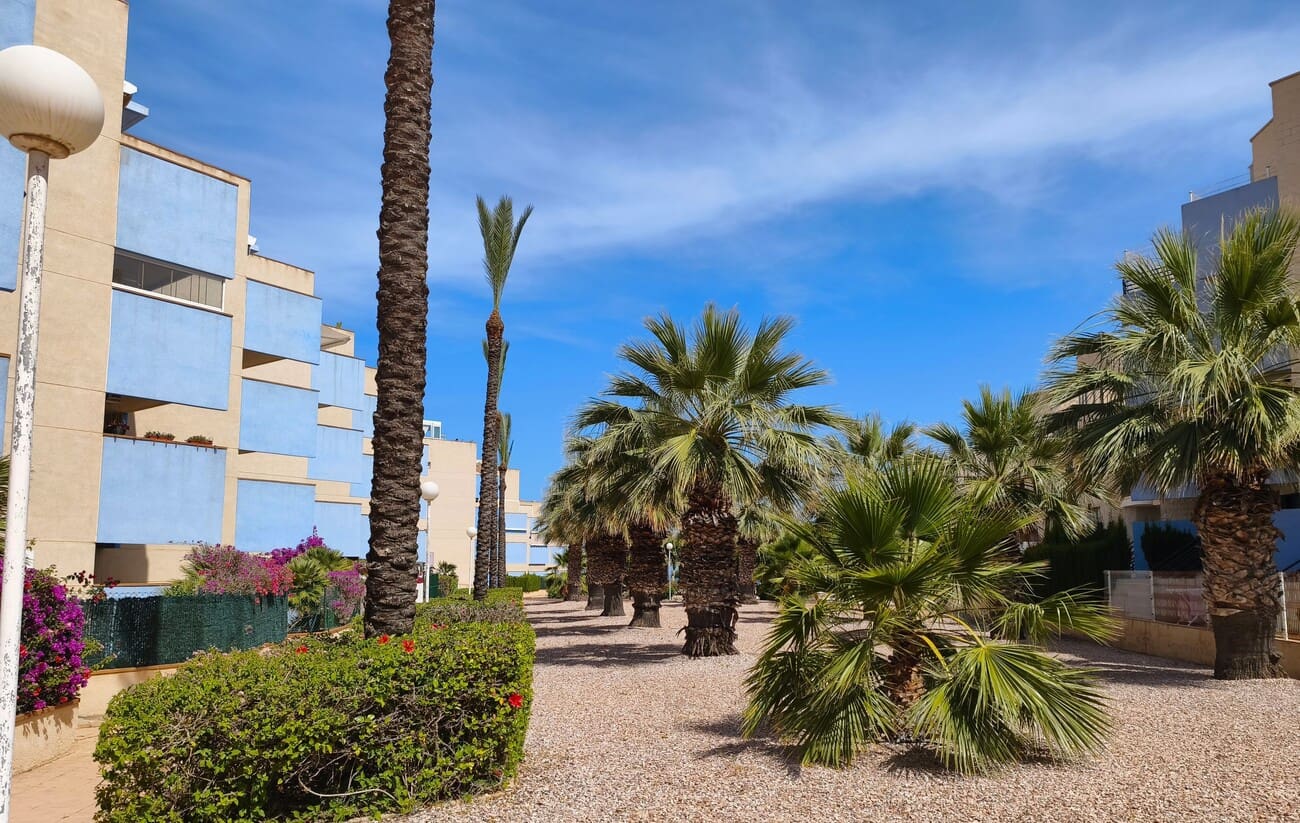 2 bedroom Apartment for rent in Orihuela Costa with pool garage - € 950 (Ref: 9875648)