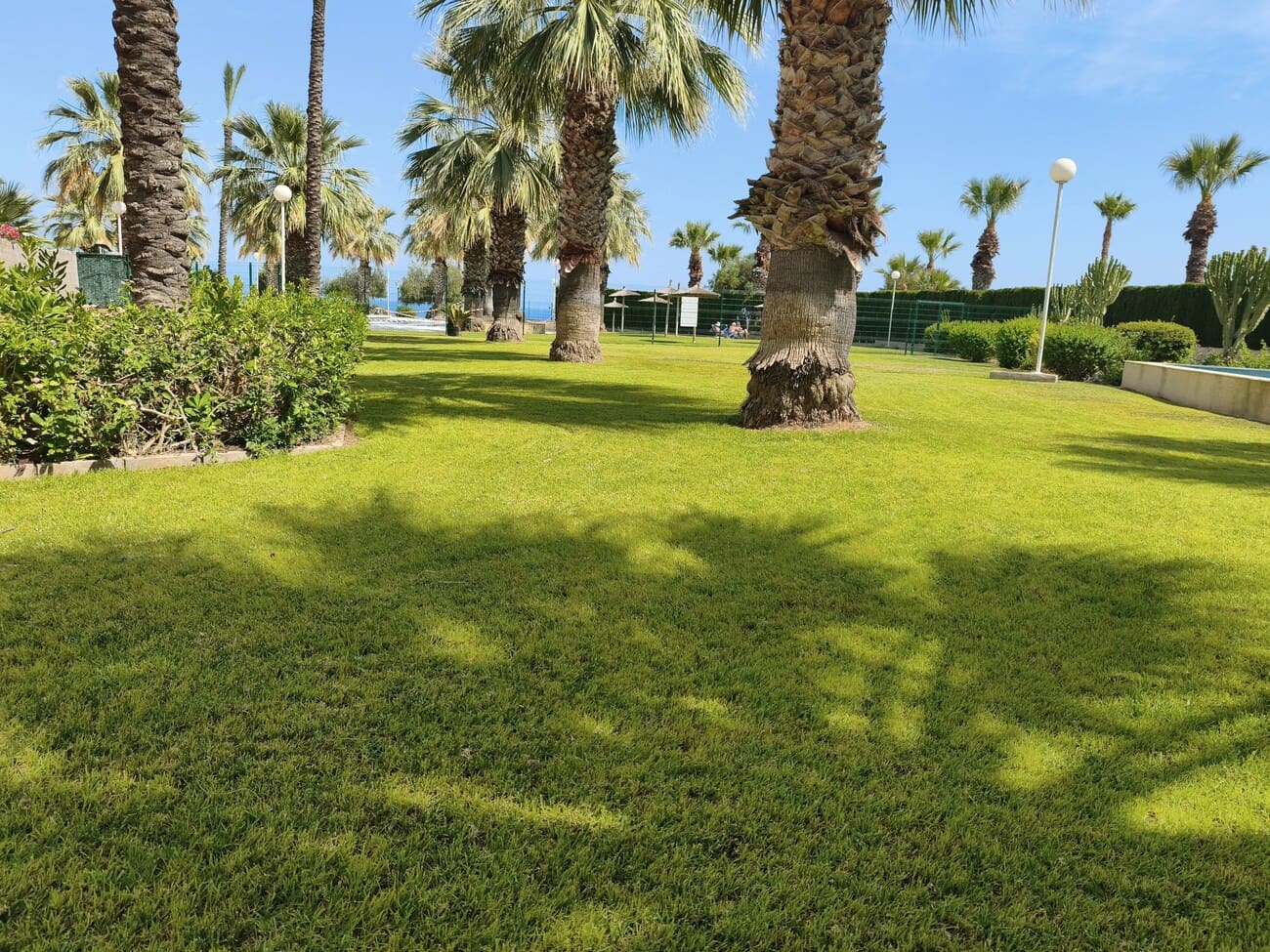 2 bedroom Apartment for rent in Orihuela Costa with pool garage - € 950 (Ref: 9875648)