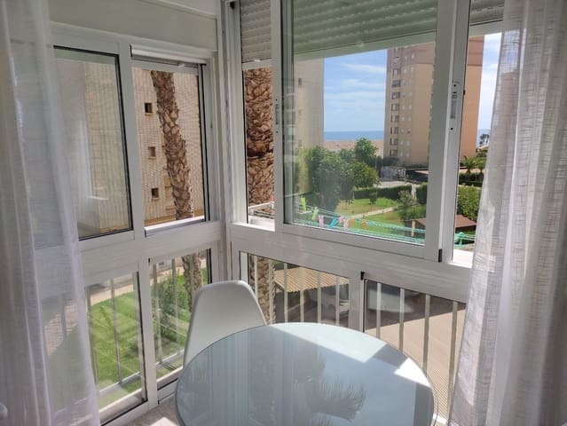 1 bedroom Studio for rent in Dehesa de Campoamor, Orihuela with garage - € 550 (Ref: 9877445)
