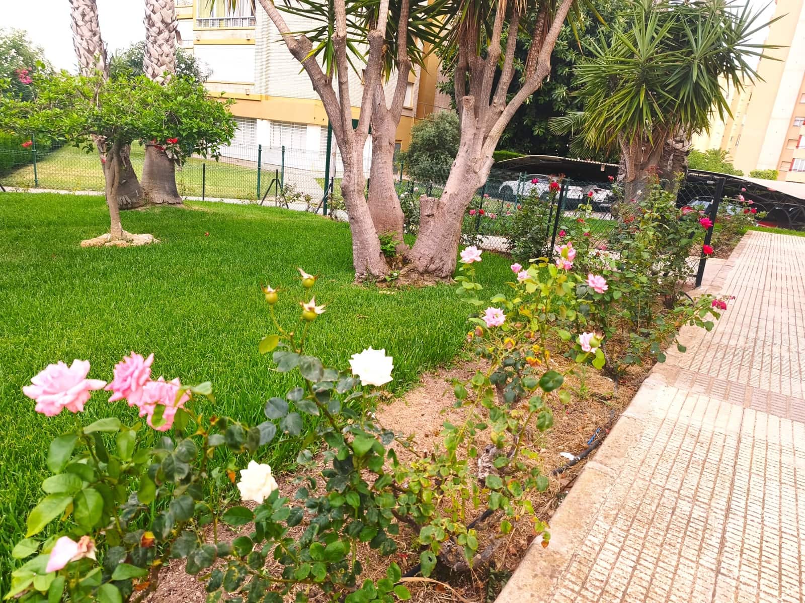 1 makuuhuone Yksiö vuokrattavana paikassa Dehesa de Campoamor mukana 
autotalli - 750 € (Ref: 9877445)