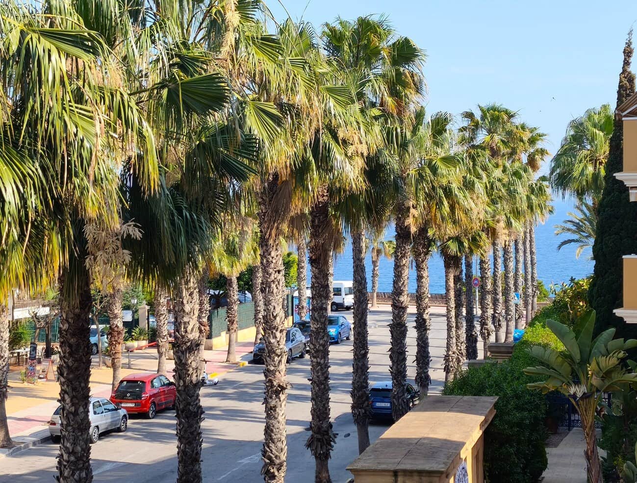 2 Zimmer Apartment zu vermieten in Dehesa de Campoamor mit Pool Garage - 1.500 € (Ref: 9883690)