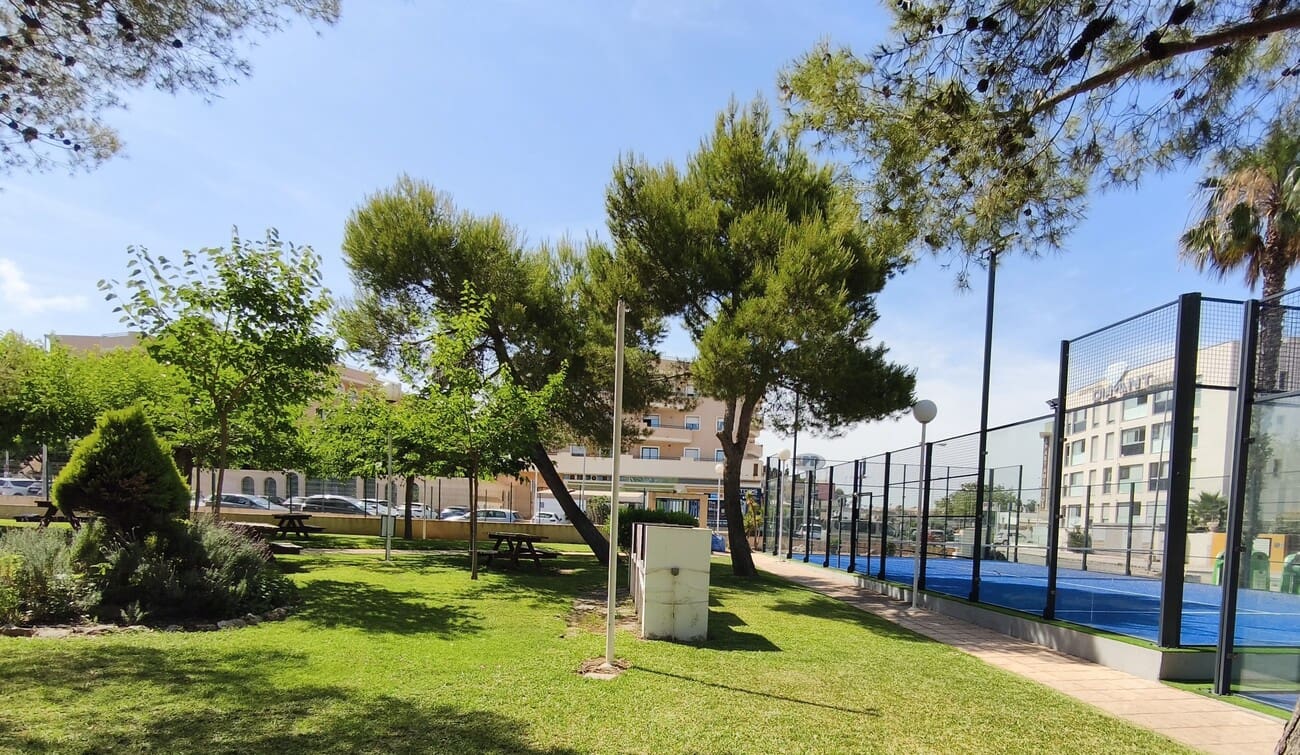2 soveværelse Lejlighed til leje i Dehesa de Campoamor med swimmingpool garage - € 950 (Ref: 9889440)