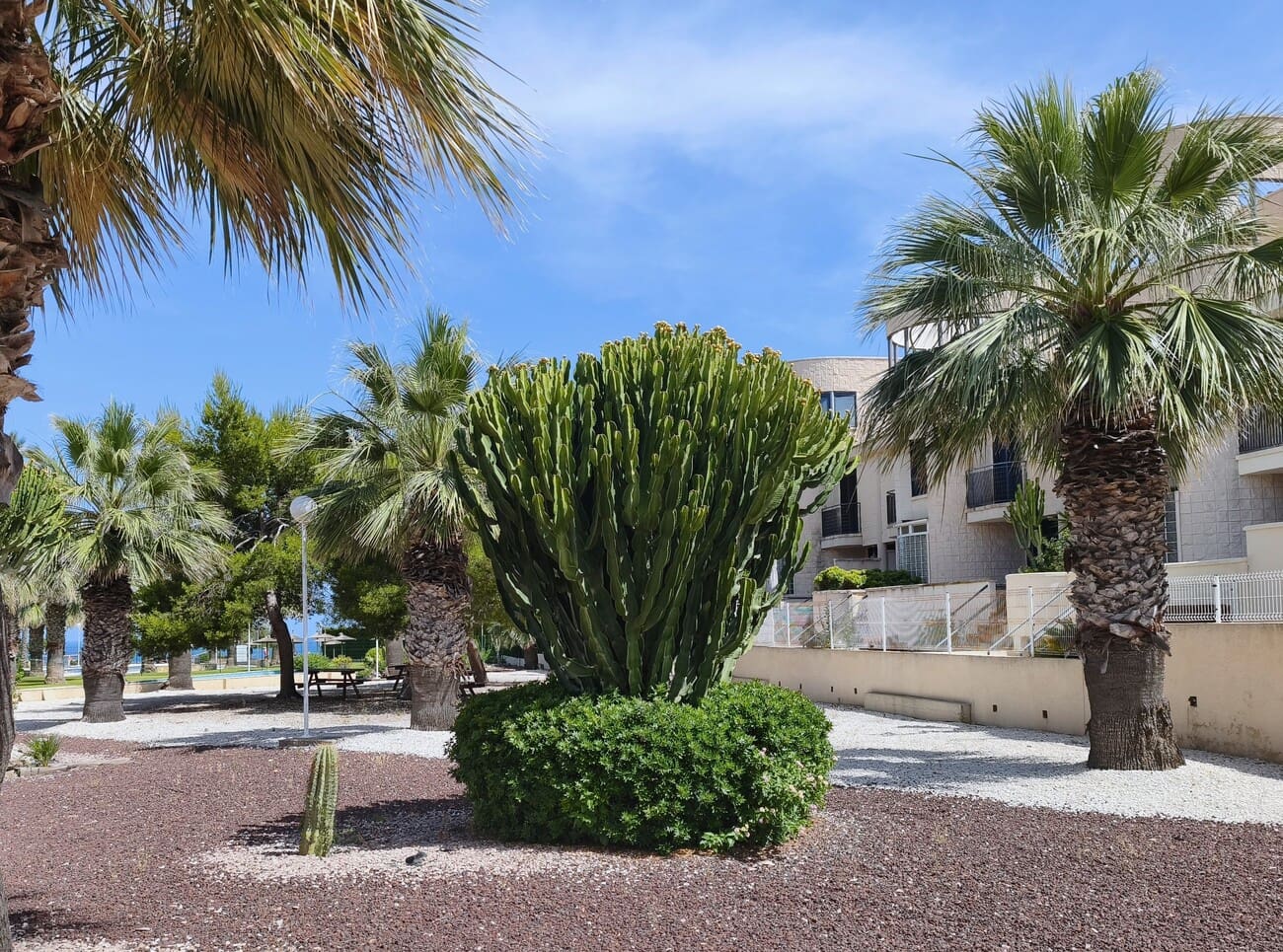 2 soveværelse Lejlighed til leje i Dehesa de Campoamor med swimmingpool garage - € 950 (Ref: 9889440)