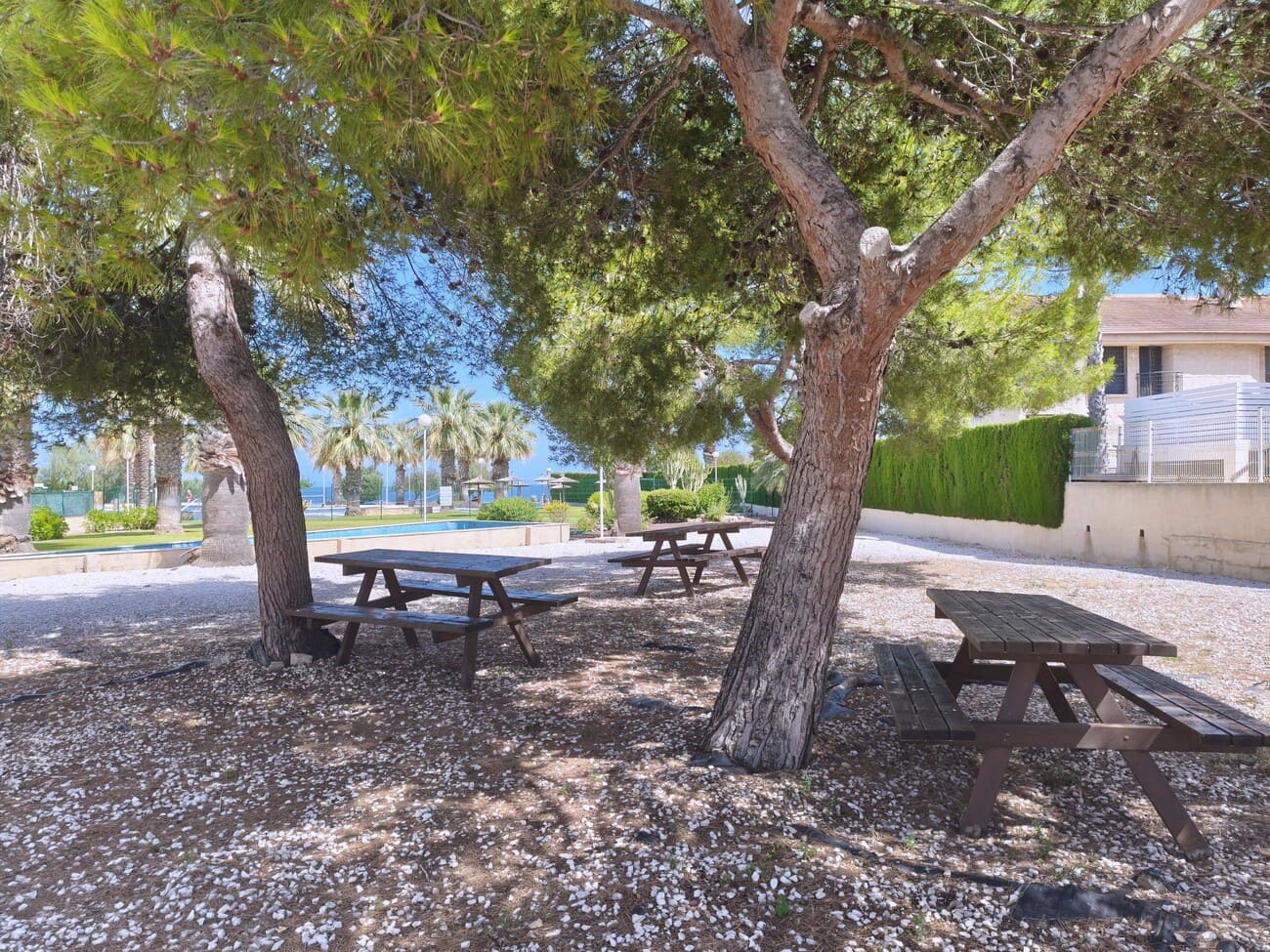 2 soveværelse Lejlighed til leje i Dehesa de Campoamor med swimmingpool garage - € 950 (Ref: 9889440)
