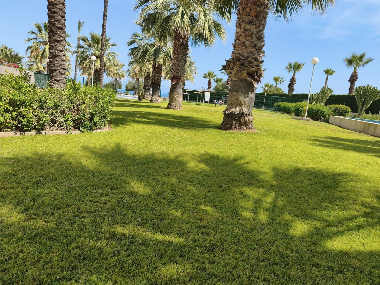 2 soveværelse Lejlighed til leje i Dehesa de Campoamor med swimmingpool garage - € 950 (Ref: 9889440)