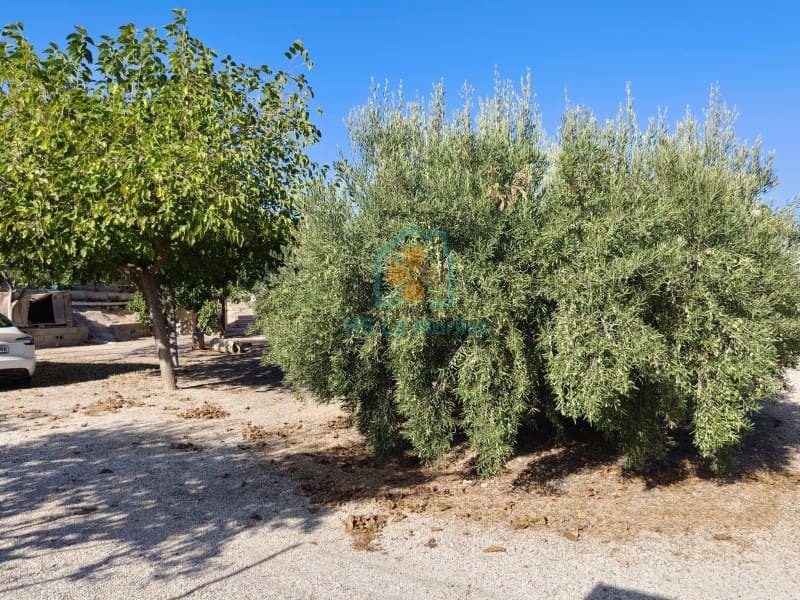 3 soveværelse Villa til salg i Elche / Elx - € 295.000 (Ref: 10094465)
