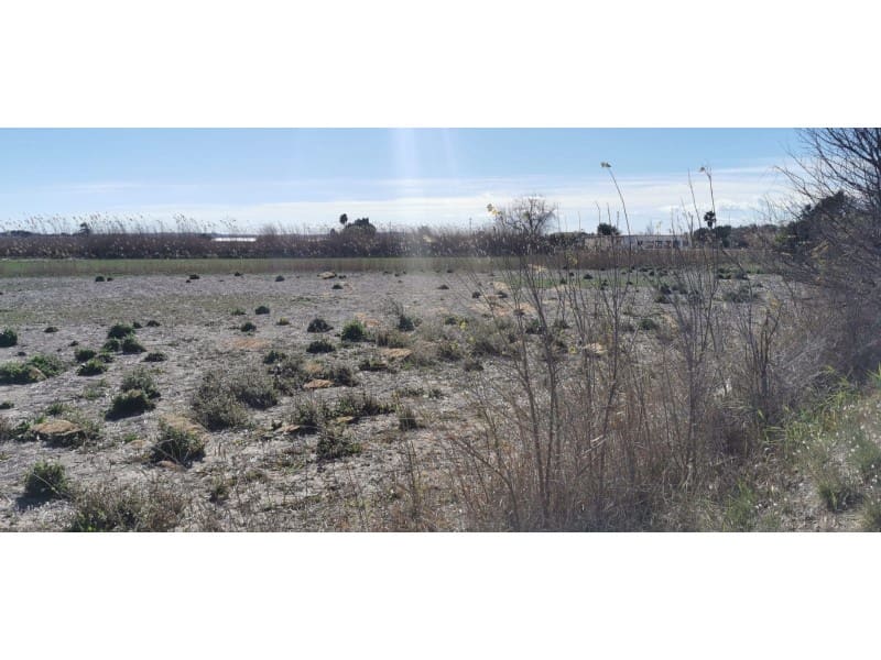 Grunde uden byggetilladelser til salg i La Marina - € 25.000 (Ref: 9922673)